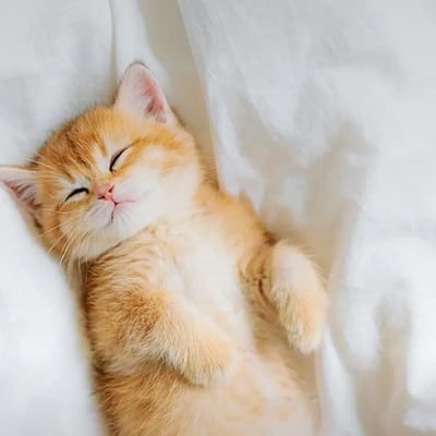 dragon200200's profile picture. 21 years old