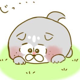 と🐯も🐶せさんのプロフィール画像