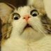 CalculuS (@calculus_en) Twitter profile photo CalculuS (@calculus_en) Twitter profile photo