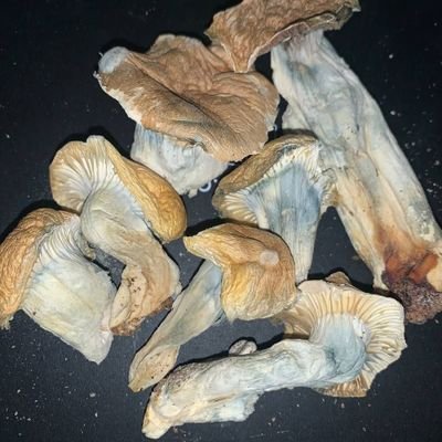 Quick and safe delivery link me up on telegram
https://t.co/X2sjVlbHZF