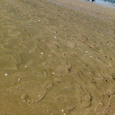 fzhfzhABC201712's profile picture. 