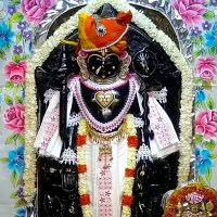 Arjanbhai Kandoriya (@arjanbhai61957) 's Twitter Profile
