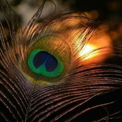 bankar_renuka's profile picture. 