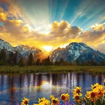 BaderBukha79733's profile picture. 