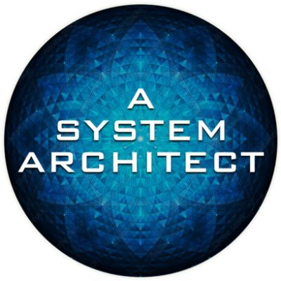 A System Architect Profile