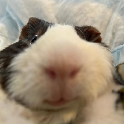 ppleaseagain's profile picture. 쟨 내 스타일이야