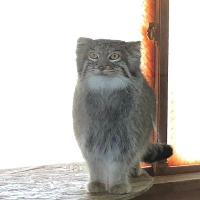 管理栄養士/日本摂食嚥下リハビリテーション学会認定士/栄養経営士 病院→子育て→行政(非常勤)→特養→老健→病院 蟹は茹でたてが1番🦀