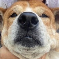 ₍ ⺣̤̬ ₎ (@zagqpy) 's Twitter Profile Photo ₍ ⺣̤̬ ₎ (@zagqpy) 's Twitter Profile Photo