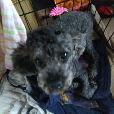 taro_physics555's profile picture. 