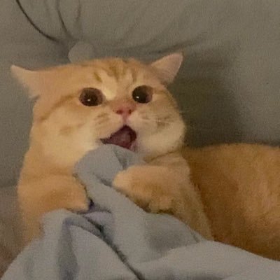 まんじゅうさんのプロフィール画像