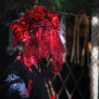 あかか (@hikobaeakaka) 's Twitter Profile Photo