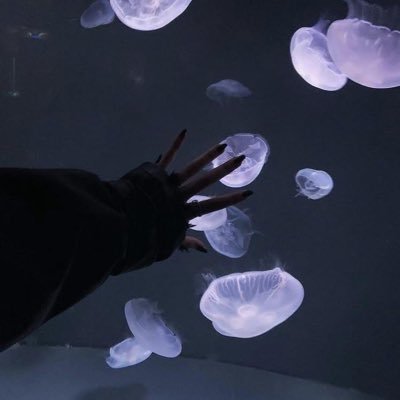 sima_720_'s profile picture. 雑多