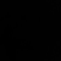 ND (@nandinid1991) 's Twitter Profile