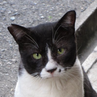 Shinobu0726's profile picture. LG(B)Tの人（180/85/47）♂。撮った写真はこちら→#忍撮影 FRBご自由に。 #忍スナップ #忍のコスプレ #忍の撮影技法