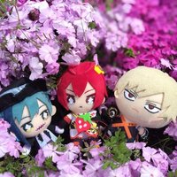 スカラナ子 (@scolanshico) 's Twitter Profile Photo