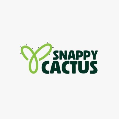 snappy_cactus's profile picture. An integrated creative agency ⚡ human-driven 🌍 — helping brands find their voice 🔊, tell their story 📓, and grow through real connections 🤜🤛.
