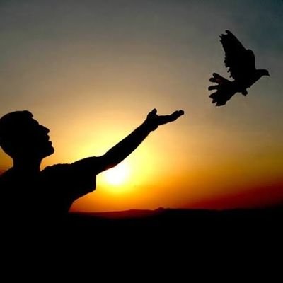 Akın var,güneşe akın.Güneş′i zapt edeceğiz
Güneş'in zaptı yakın.Öyle yıkma kendini.
Öyle mahsun, öyle garip.Nerde olursan ol.
Yedek Hesap @mavidalga8