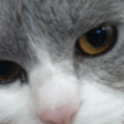 houlp82's profile picture. She/They | 18+ | multifandom sp🚀☕, 🤍🖤