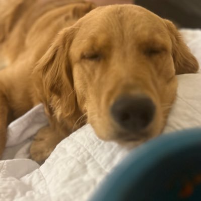 mollsamilly's profile picture. 