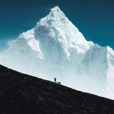 behdad285122's profile picture. 