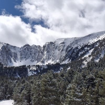 dfreixesvi's profile picture. Muntanyenc i informàtic