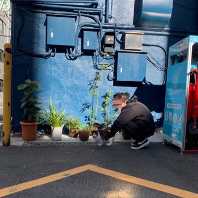 Nulls48807788's profile picture. 人助けのため一旦戻し。所用が終わったら消します。お世話になりました。