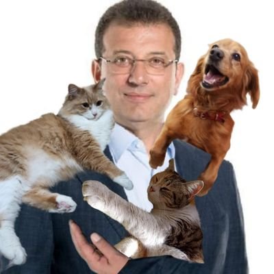 luna (6)🐈, lili🐈, lea🐈, pera (9) 🐕
femimist killjoy yaknaşma😼
