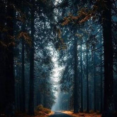 AwaisNawazAwan's profile picture. 