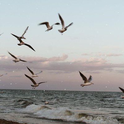 fahadamiirr's profile picture. Simple person, Moody, Fun