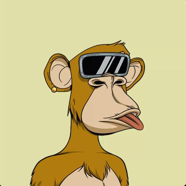 zb6669's profile picture. Reflected on tirtha tirtha-tides, fords fording faith—Hindu hallows heal.