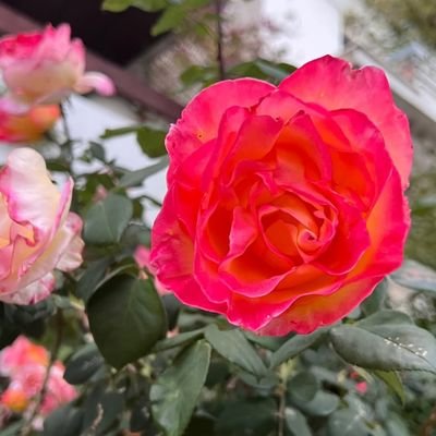 stamatia_stathe's profile picture. 