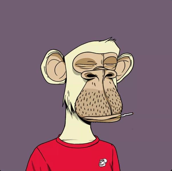 Tj_Lowery's profile picture. Debating pet names for future dog