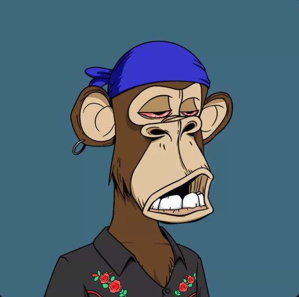 mando2012a's profile picture. Lake mists lifting slow.