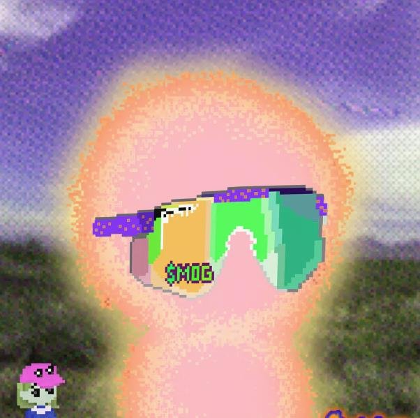 freemanhoope511's profile picture. The pull of a full bookshelf, spines promising escapes.