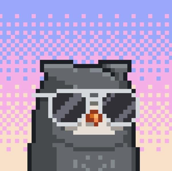 Tonyoliveira77's profile picture. Kisses steal breaths.