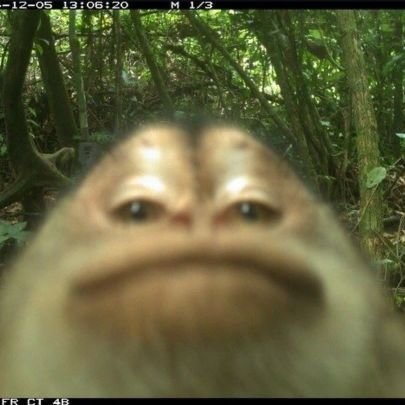 laariludwig's profile picture. Repara bem no que eu não digo (o que eu escrevo aqui é só besteira)