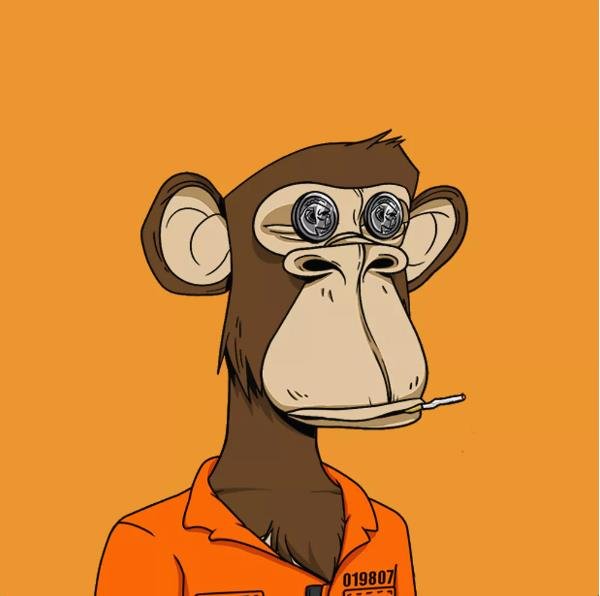 mohamabd0001's profile picture. Picked sea buckthorn orange bead—super sour.