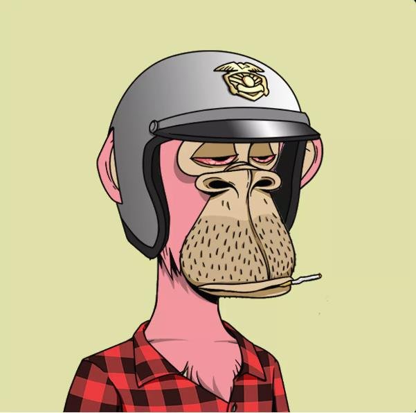 HighOnHeels_'s profile picture. That plot in the series cliffhanger