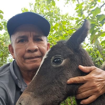 Aristobulo83951's profile picture. Viajar