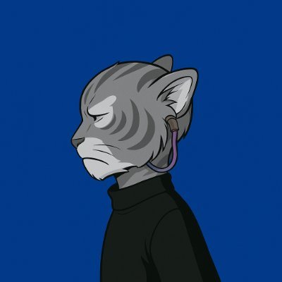 CEO of solana (nocap)