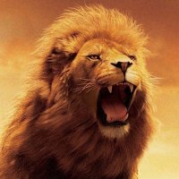 TheMaskedYodha (@themaskedyodha) 's Twitter Profile