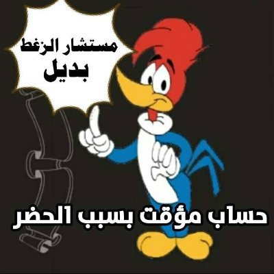 (أنا جنوبي مناصر للمظلومين وهدفي رؤية المواطنين يعيشون في سلام ) .. ✌️ 👍