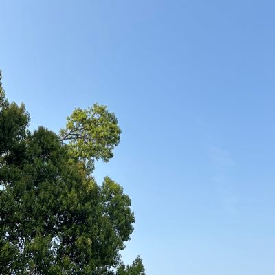 heyoon89852's profile picture. 