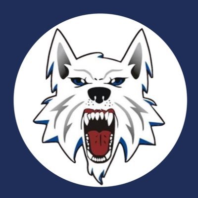 Official page of the NAHL Fairbanks Ice Dogs Hockey Club. #GoDogs