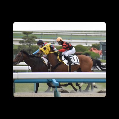 same_katsu_'s profile picture. べるさん 宮本 博 厩舎 鮫島 一歩 厩舎 鮫島 克駿くん 推しෆ˚*