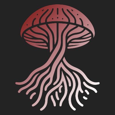 Bithypha is a free, open and community-driven blockchain analysis tool.
