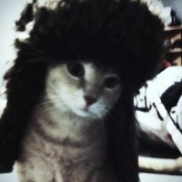 clow (@sofiiaclow) 's Twitter Profile