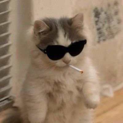 jon121011's profile picture. bebas