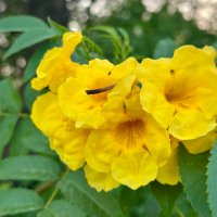 AquaMan (@umdascapes) 's Twitter Profile