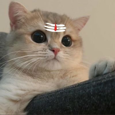Call me Dr Catu / Mi / Demotivational Speaker/ Cute (self-proclaimed)